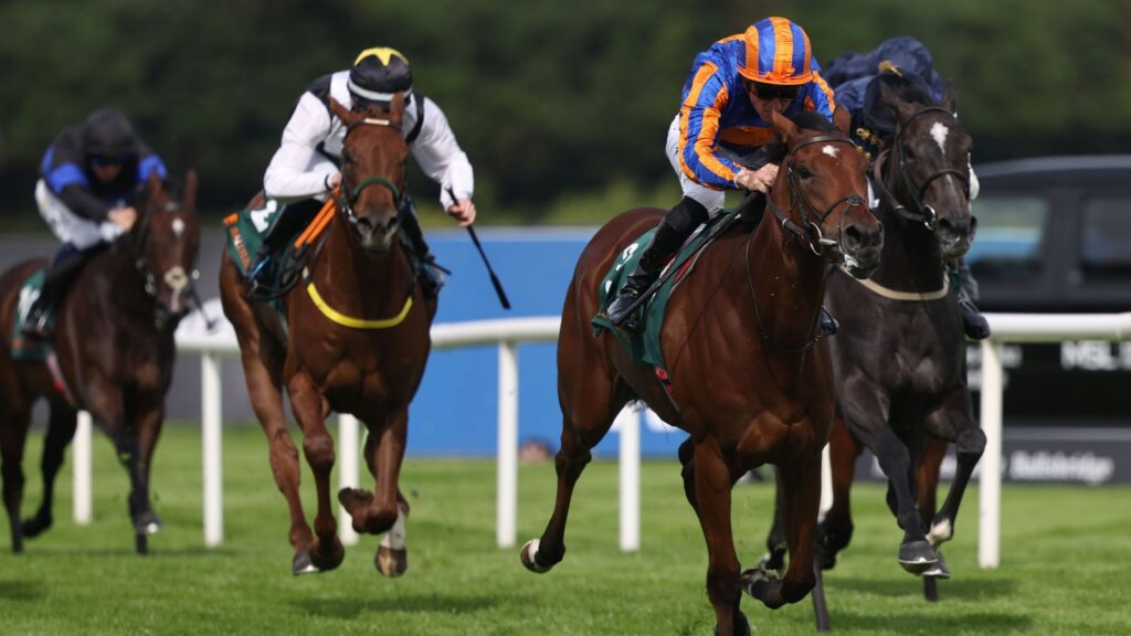 Diamond Necklace Leads Prix de Diane at Chantilly Today