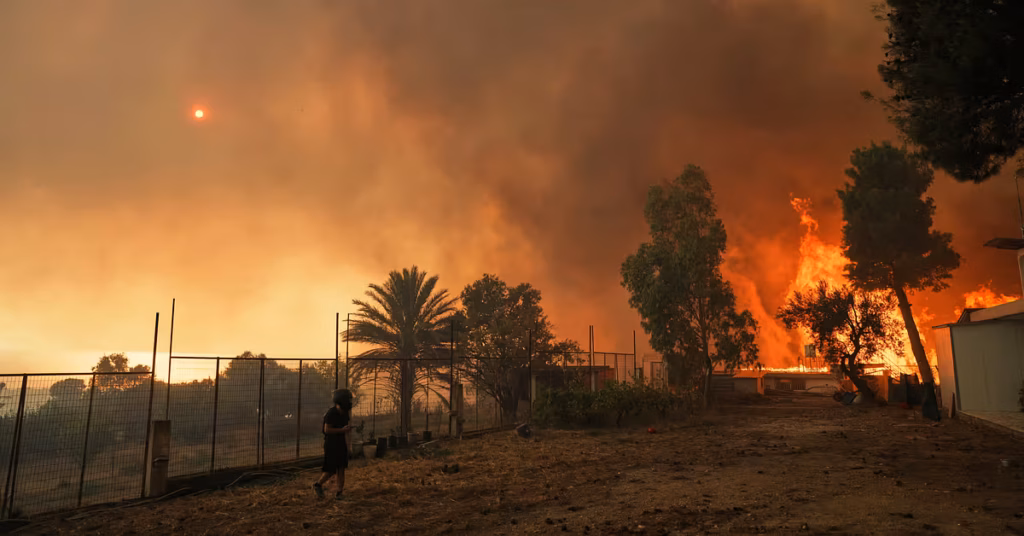 Europe’s Forest Fire Victims: Understanding Insurance Coverage Europe's Forest Fire Victims: Understanding Insurance Coverage